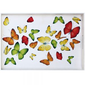 Vassoio Freedom Farfalle