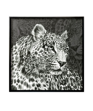 wild-q-leopardo