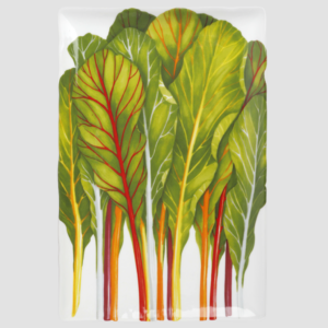Dieta Mediterranea Erbette – Portata