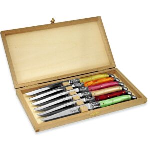Set 6 coltelli bistecca