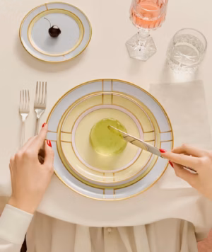 TABLE 1